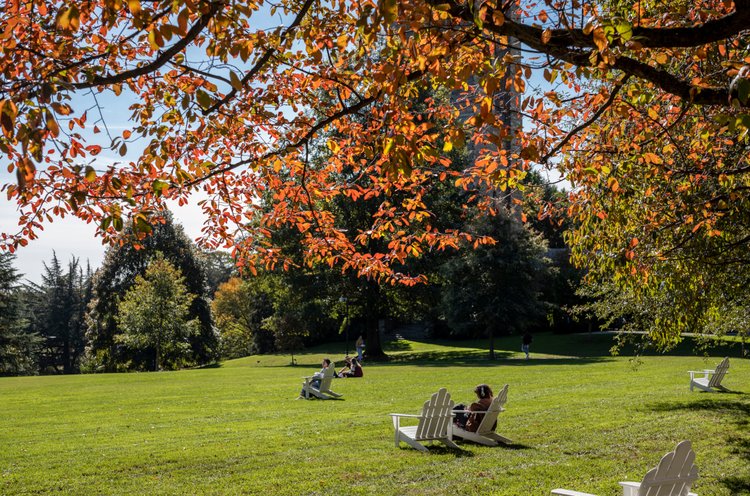 学生坐户外在秋天的草坪